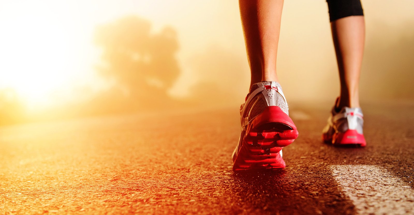 Best WordPress Slider Plugin