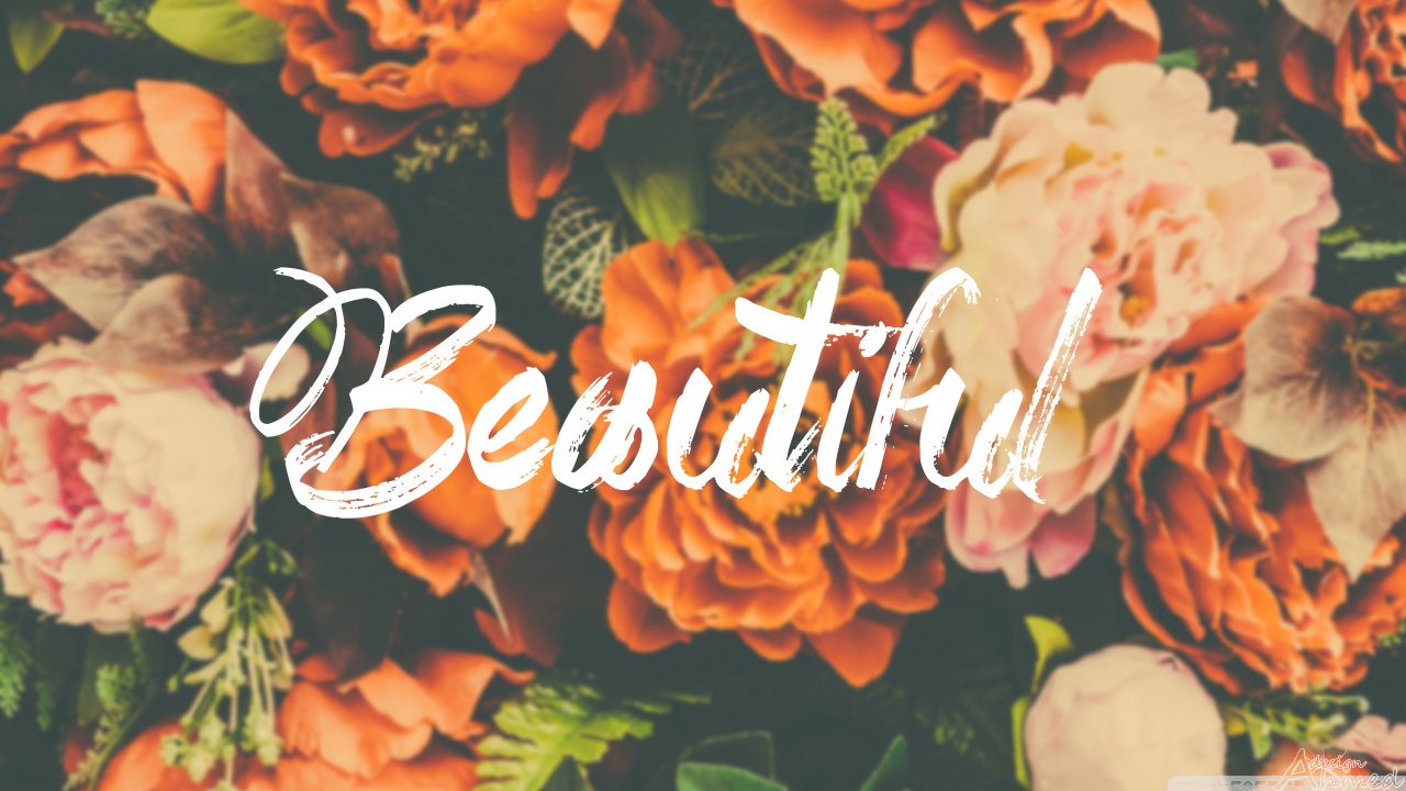 Beautiful Wallpaper