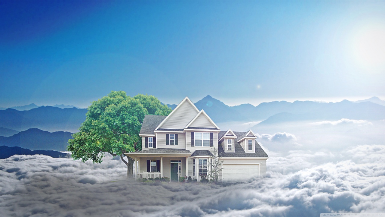 Dream House