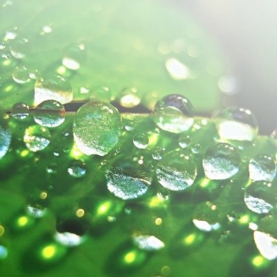 water (3)