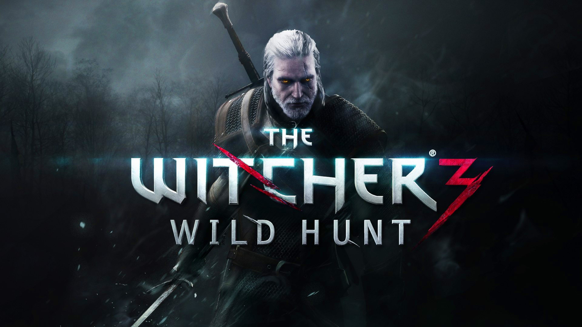 The Witcher Wild Hunt