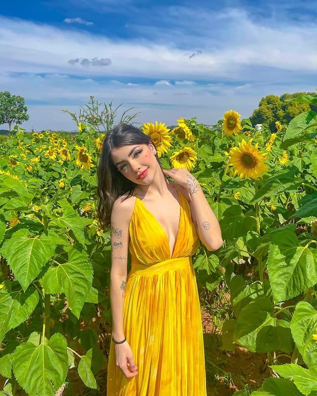 Instagram Profile Slideshow