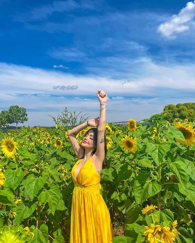 Instagram Profile Slideshow