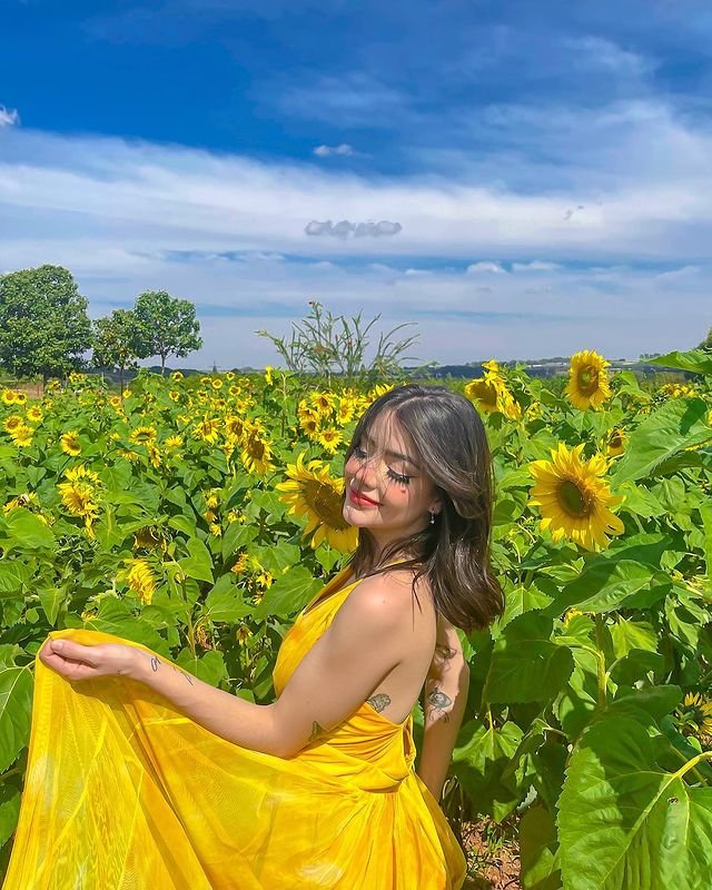 Instagram Profile Slideshow