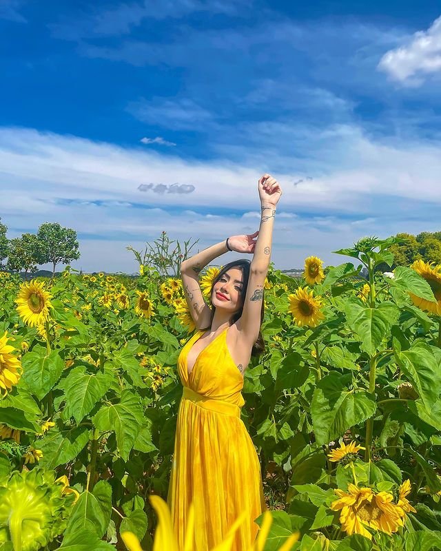 Instagram Profile Slideshow