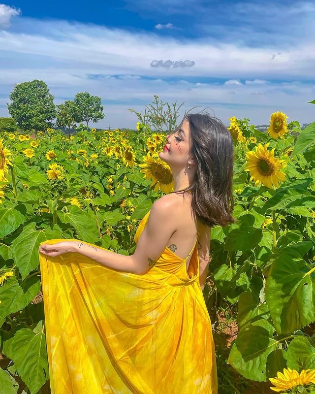 Instagram Profile Slideshow