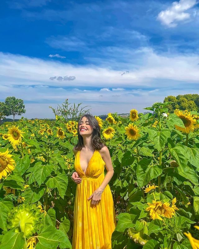 Instagram Profile Slideshow