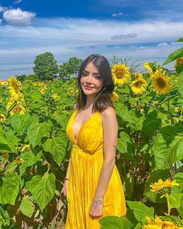 Instagram Profile Slideshow