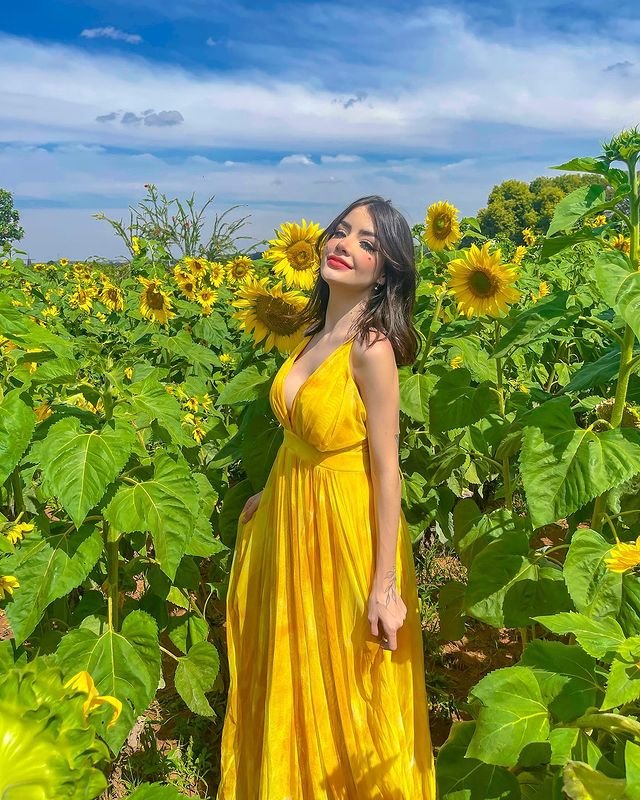 Instagram Profile Slideshow