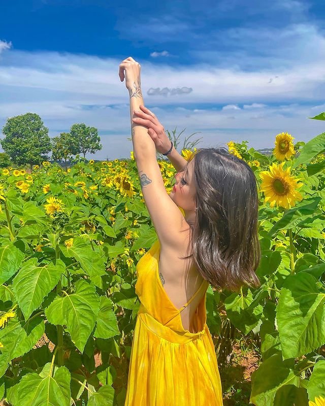 Instagram Profile Slideshow