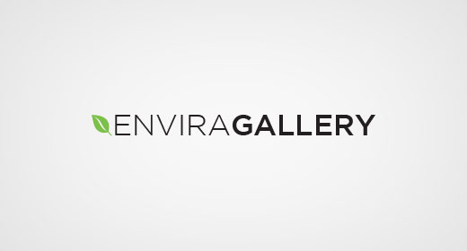 Envira Gallery Plugin for Photographer