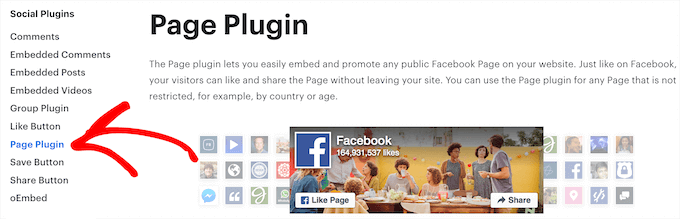 Choose 'Page Plugin' from the left-hand sidebar