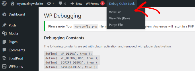 WordPress Debug Mode 2