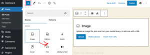 Common WordPress Block Editor Issues and Solutions - WP Frank - Premium ...