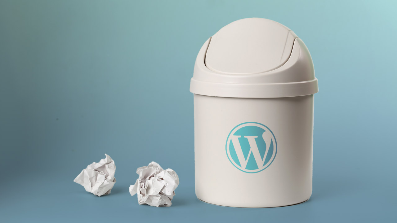 How To Limit Or Disable The WordPress Automatic Trash Emptying