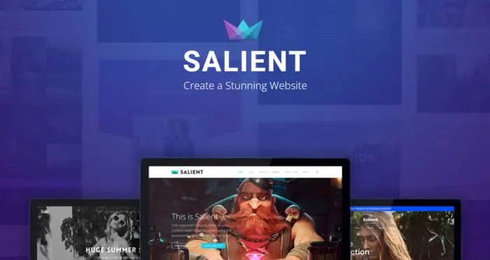 salient wordpress theme