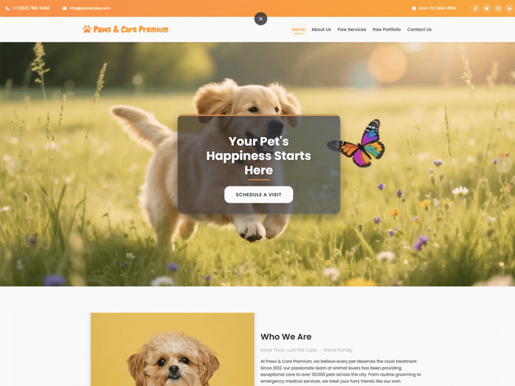 Paws and Care